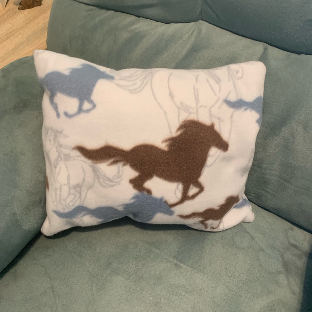 Decorative pillows made by my entrepreneurial daughter.